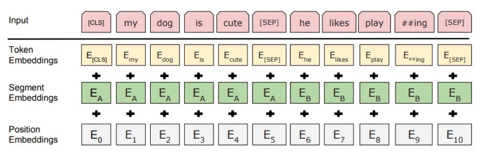 BERT Input Embedding